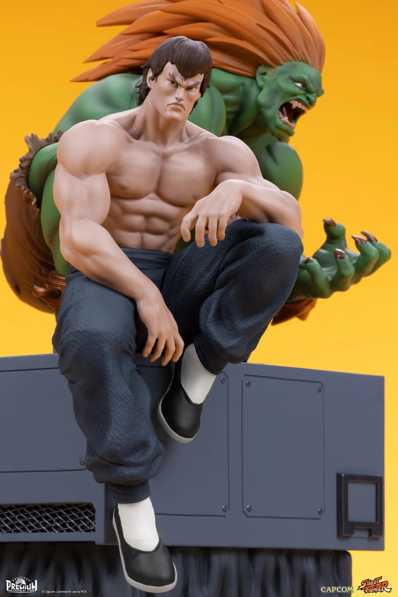 BLANKA & FEI LONG Collectible Set by PCS