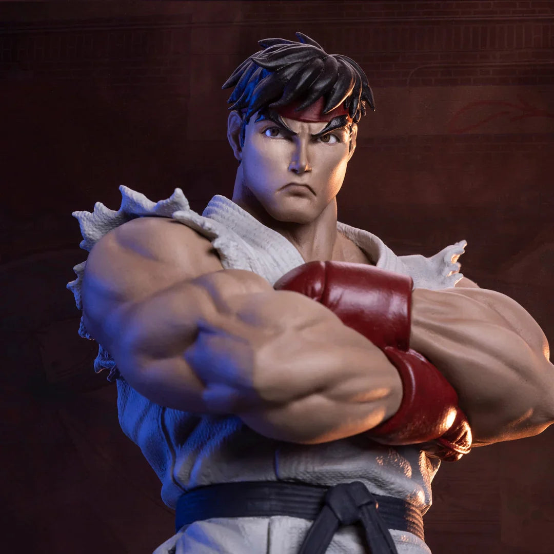 RYU & DAN Collectible Set by PCS