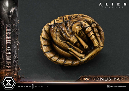 Alien Romulus Scorched Xenomorph DX Bonus Version By Prime 1 Studio